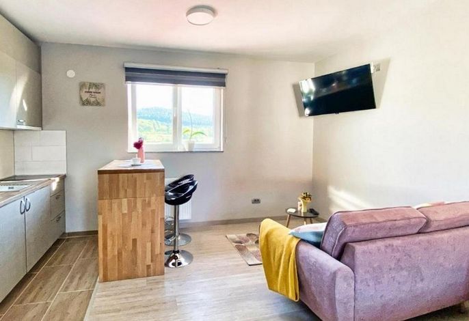 Studio Appartement mit Pool Otocac, Velebit AS-24987-a