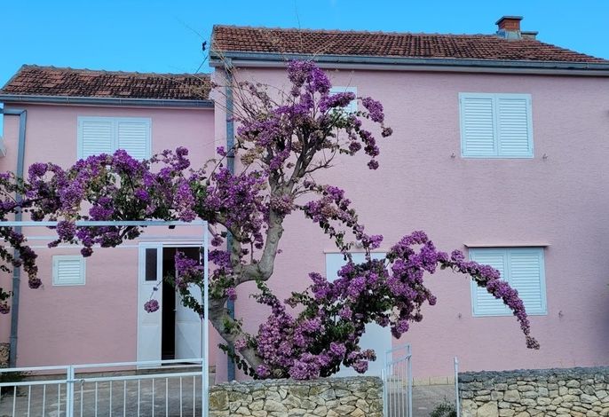 Hauptbild