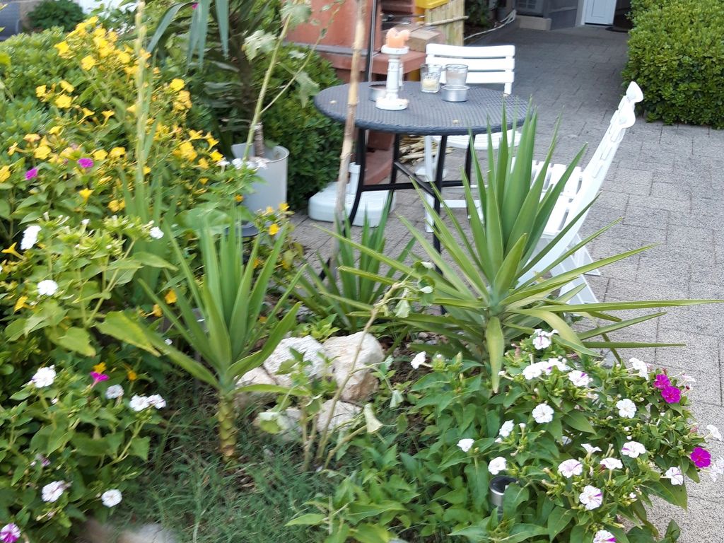 Hof