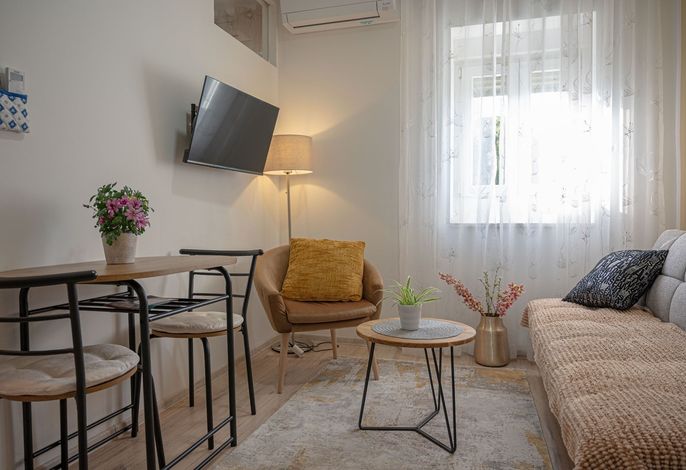 1-Zimmer-Ferienwohnung mit Klima Pula A-26961-a
