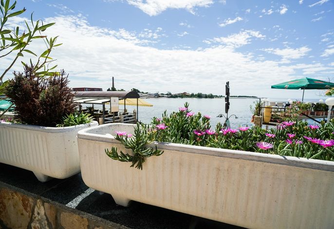 Ferienwohnungen mit Internet Rozac, Umag - 27209