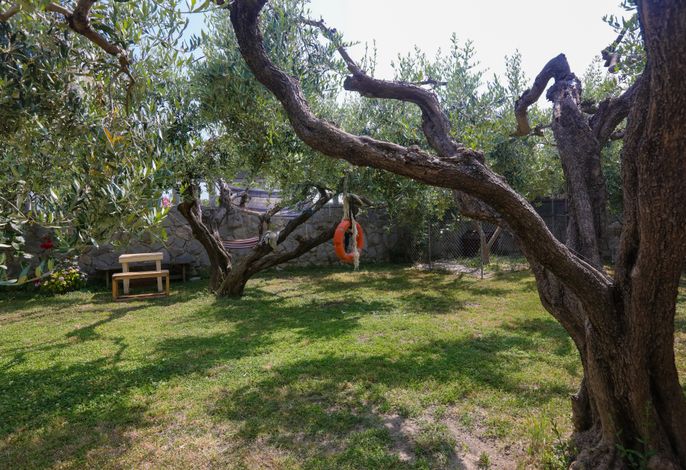 Bild 19