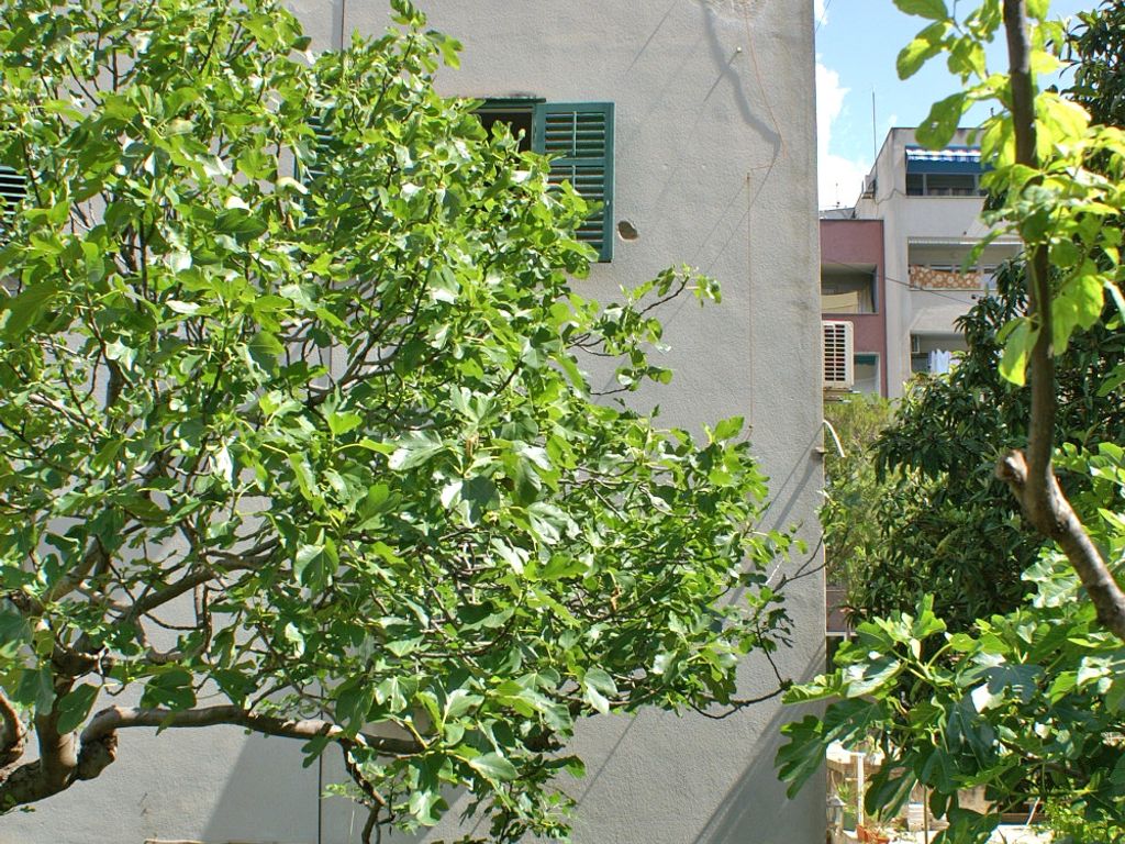 Exterieur