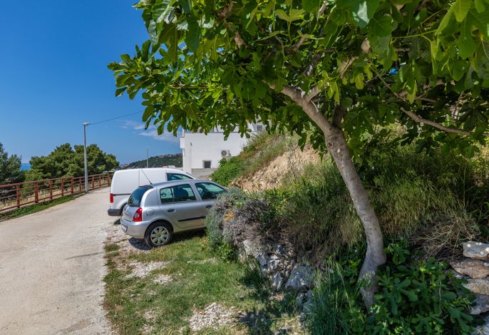 Bild 14