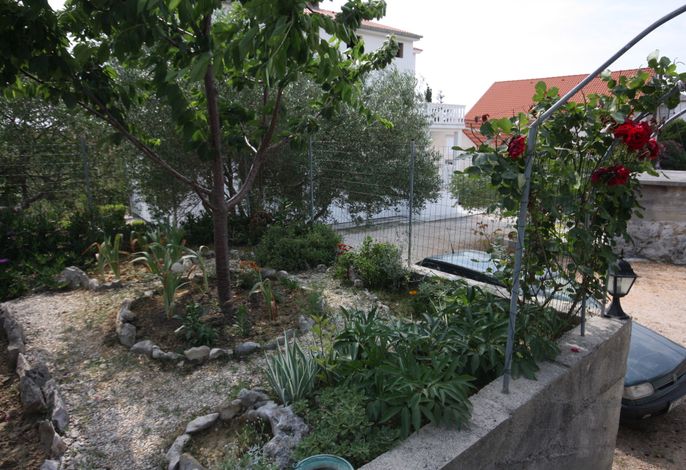 Bild 12