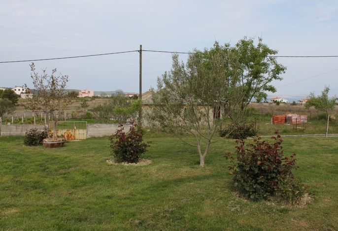 Bild 11