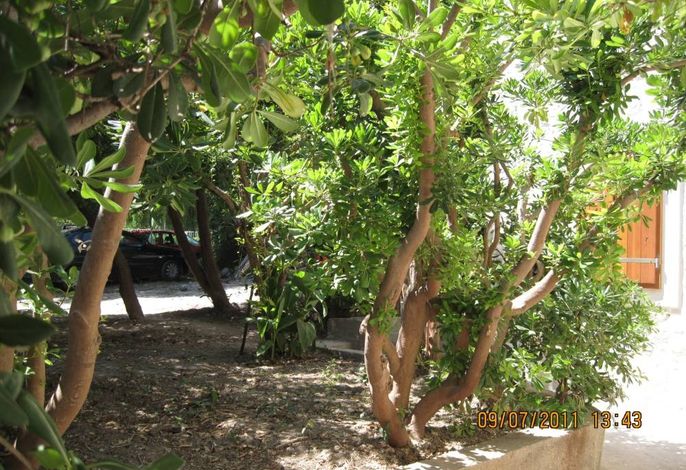 Ferienhaus am Meer Kastel Novi, Kastela - 7554 – Foto 5
