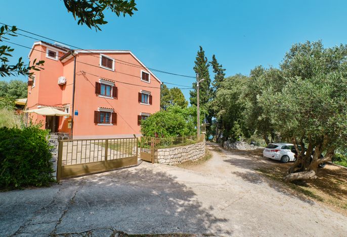 Bild 14