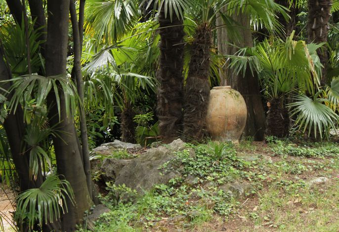Bild 7
