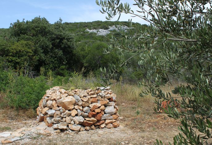 Bild 14