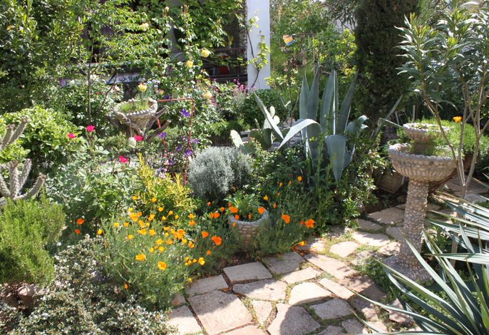 Bild 5