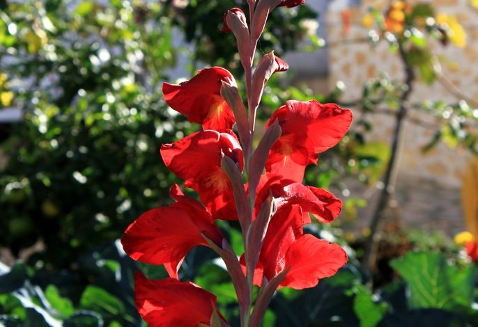 Bild 9