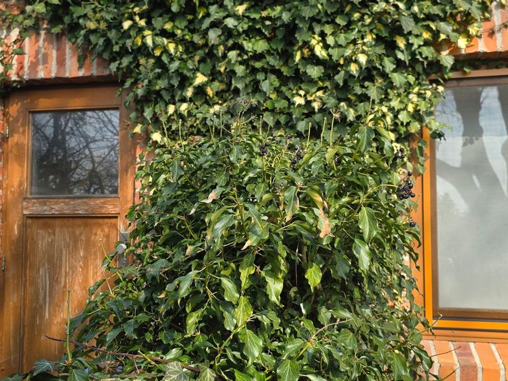 Fassade / Eingang