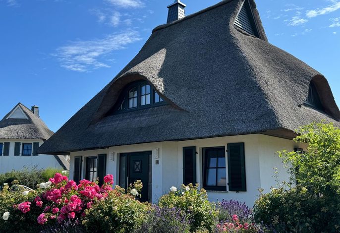 Ferienhaus Seeadler 65 - Der Natur ganz nah