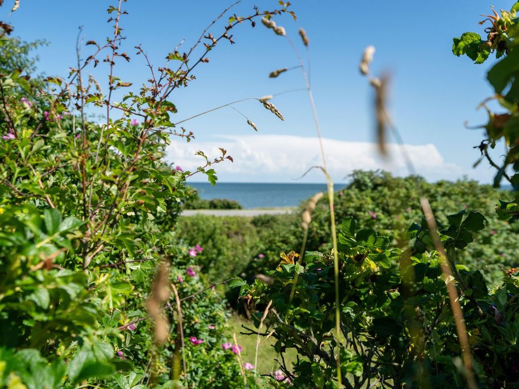Meerblick