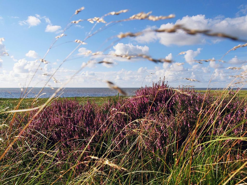 Landschaft