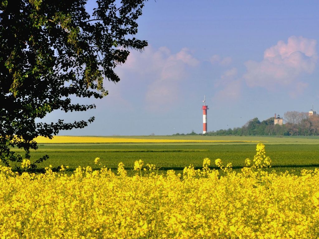 Landschaft