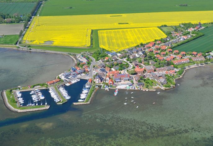 Ferienwohnung "Möwe" für 3 Erwachsene und 1 Kind mit Balkon- nur Minuten von der Ostsee entfernt