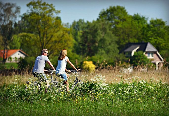 Bild 21