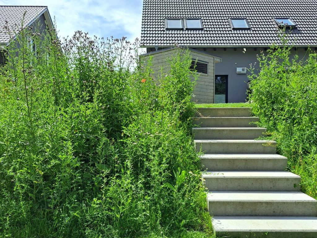 Fassade / Eingang
