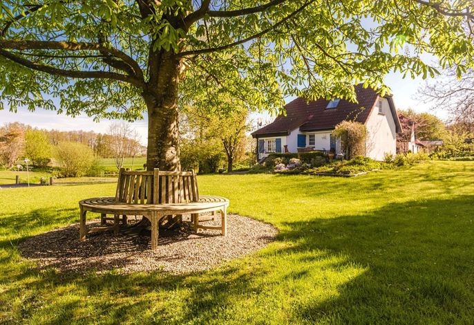 Ferienhaus "Teichrose" in Boren