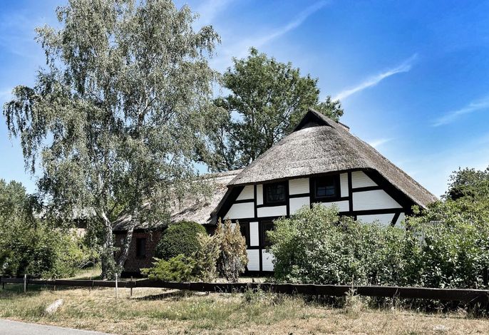 Ostsee Urlaub im traditionellem Fischerhuus am Darß – Genieße erholsame Tage