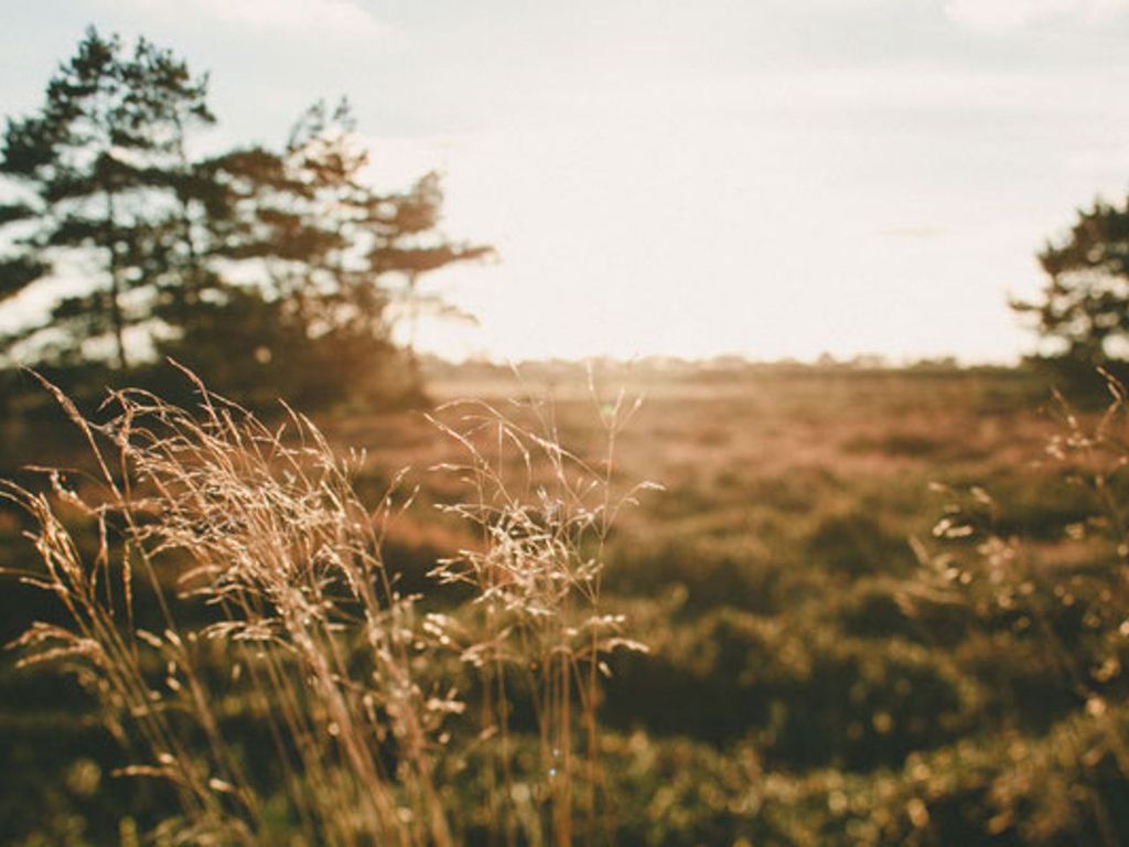 Landschaft