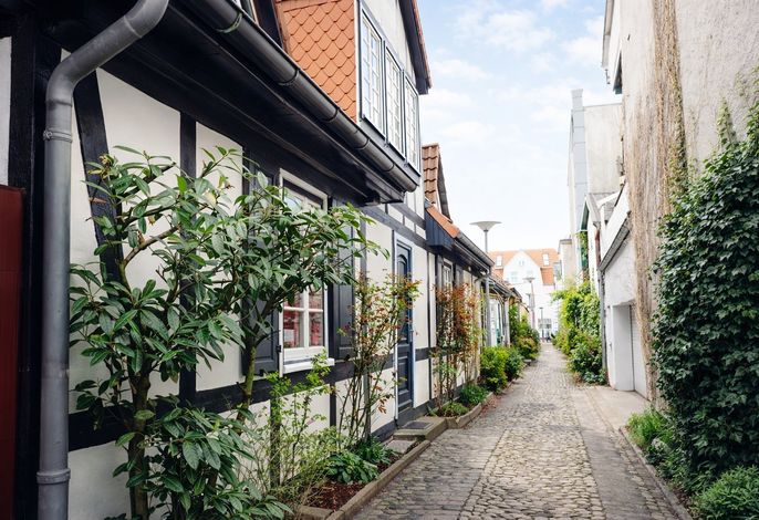 40m² Fewo mit Wlan und Hund für 2 Personen