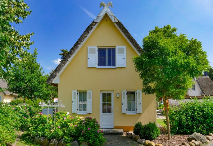 Reethaus Seeschwalbe in Strandnähe
