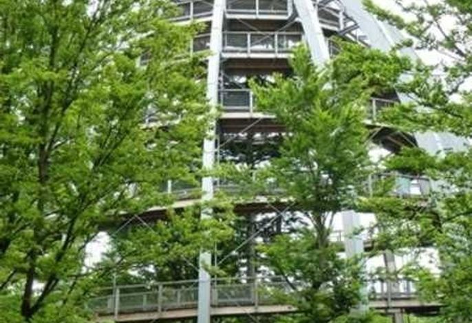 Bild 13