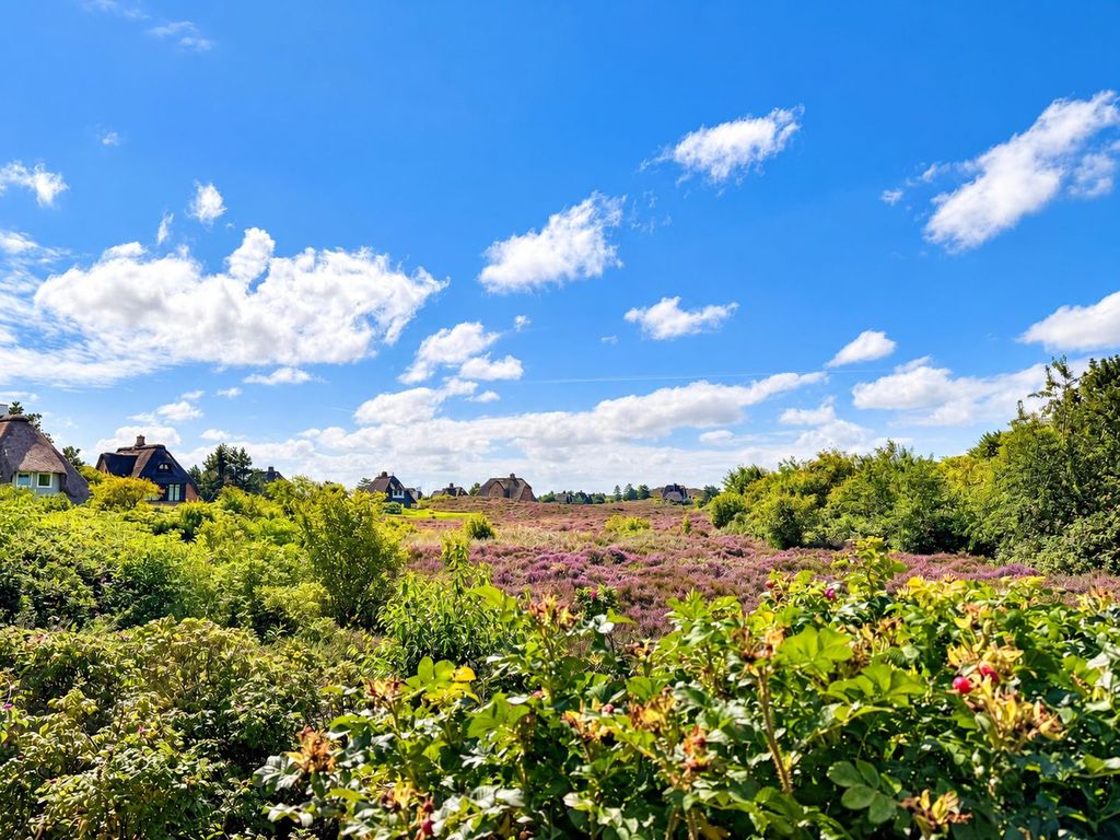 Gartenblick