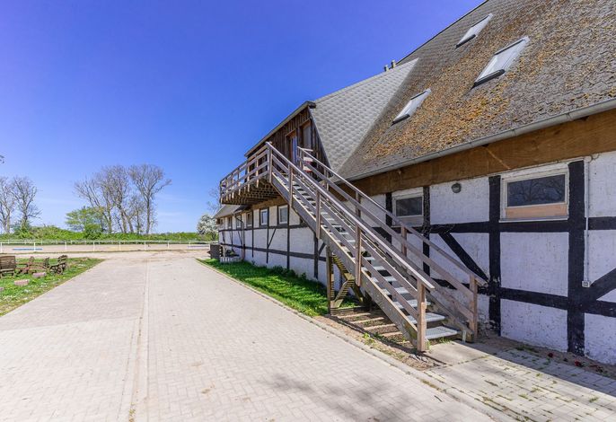 Ferien auf dem Reiterhof - Wohnung Mecklenburger
