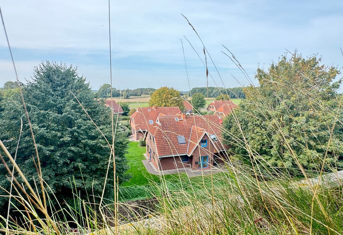 Photo Berolina 330 - Ostseekrabbe 6
