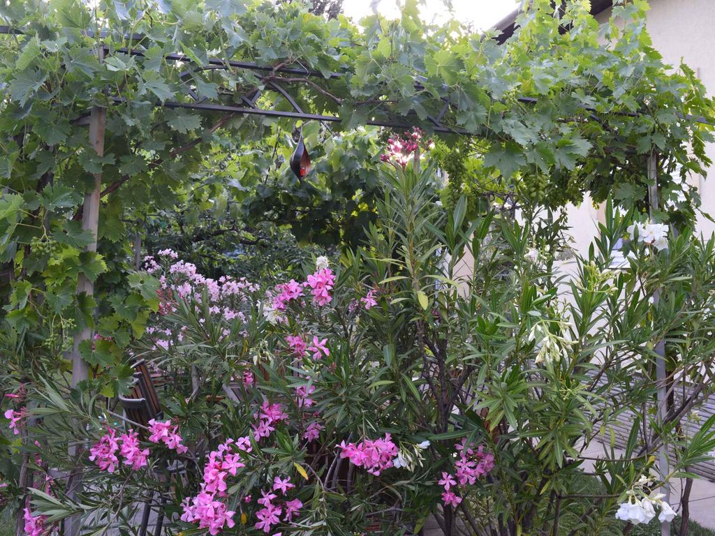 Ferienwohnung mit Garten und Grill
