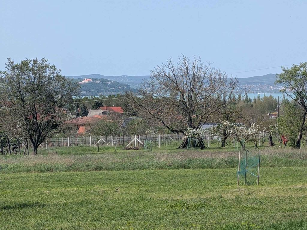 Ferienwohnung mit ruhiger Lage, Klimaanlage, WLAN und Ausblick auf den See