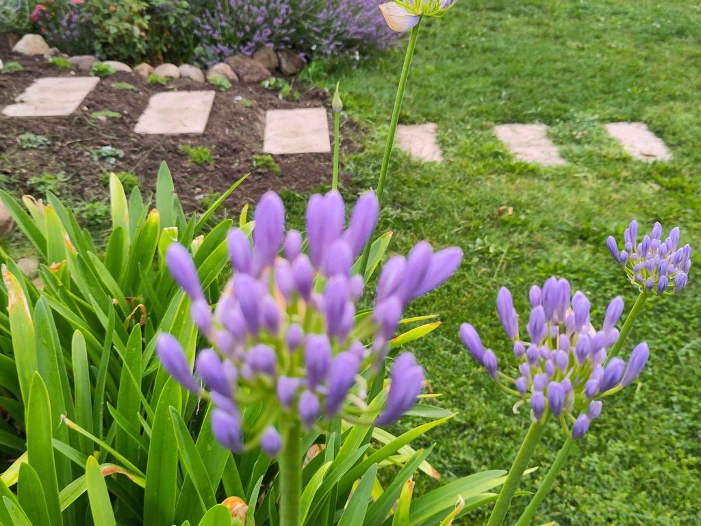 Ferienwohnung mit Fahrrädern und Garten