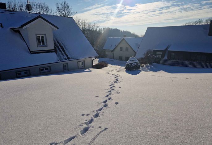 Bild 28