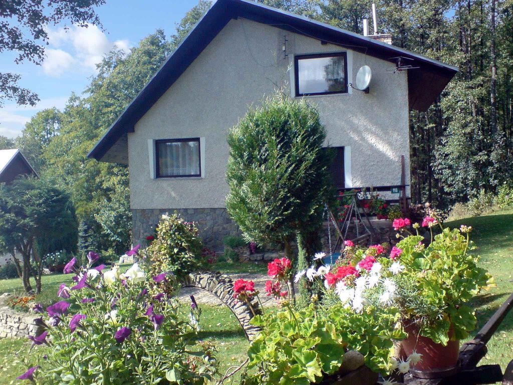 Berghütte im Wald mit Hinterteil