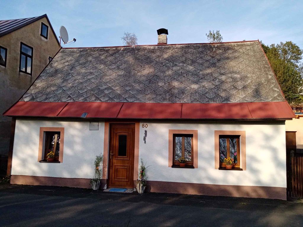 Ferienhaus mit Kamin im Skiort