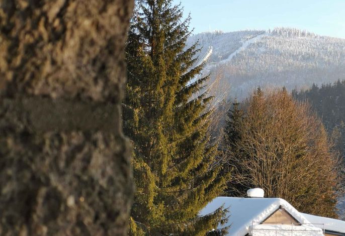 Bild 19
