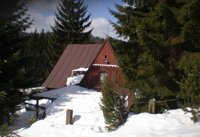 Bild 36