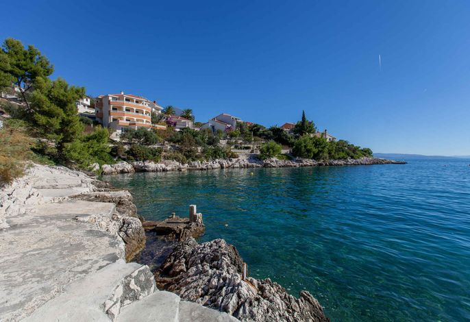 Bild 50