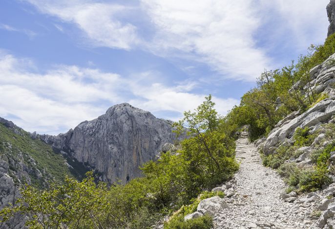 Bild 19