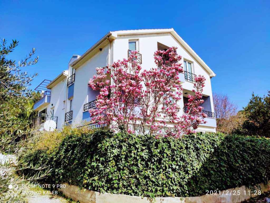Ferienwohnung mit Meerblick und Terrasse