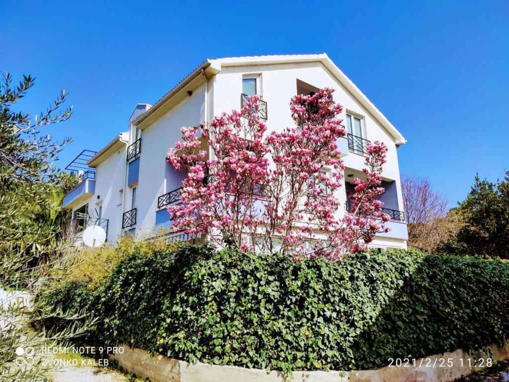 Ferienwohnung mit Meerblick und Terrasse
