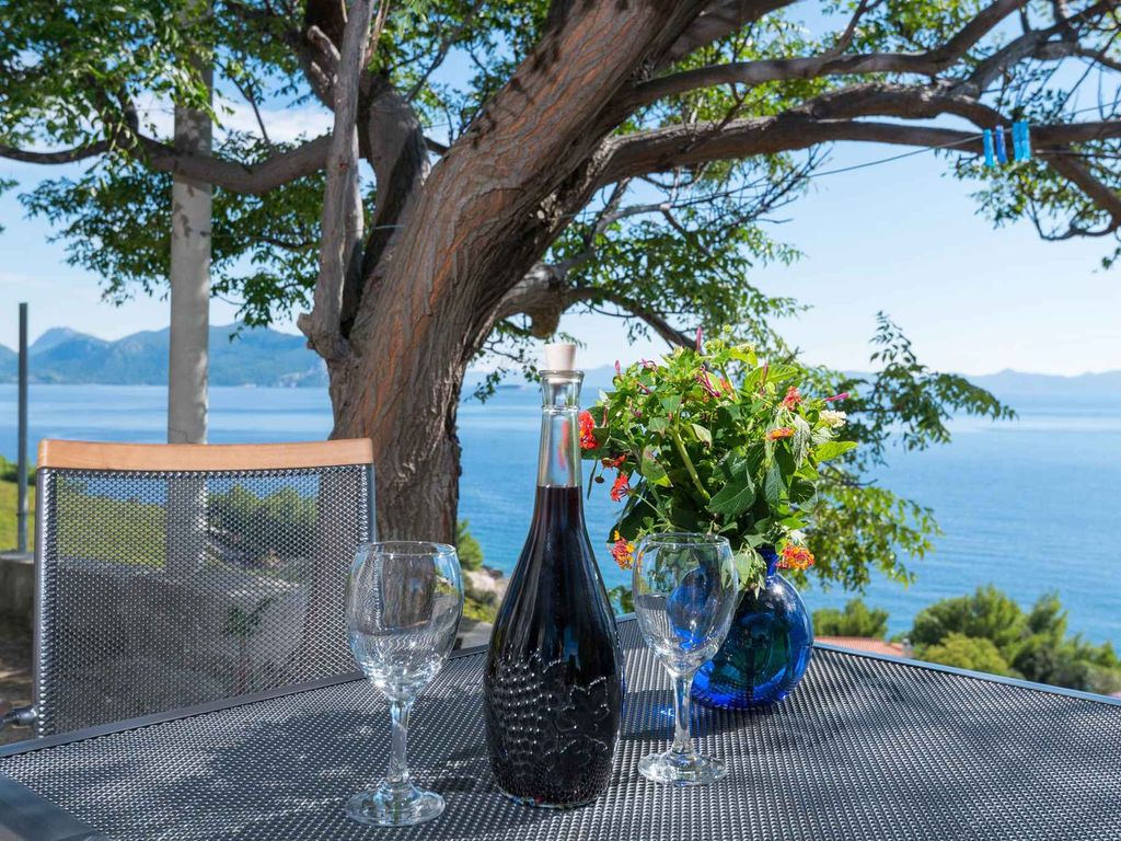 Ferienhaus mit Grill