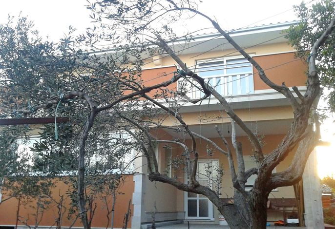 Bild 11