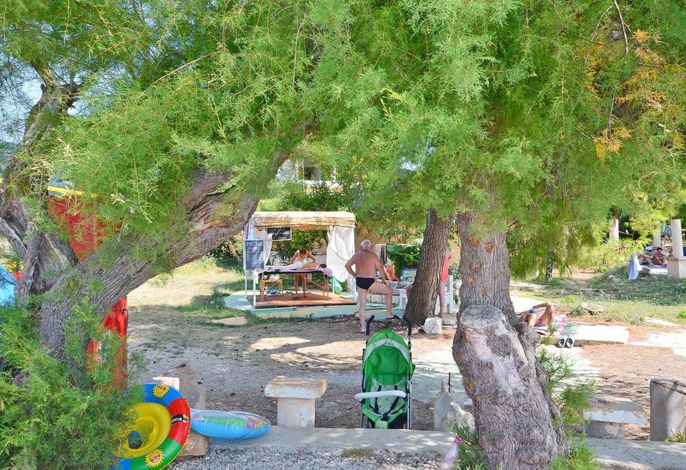 Bild 45