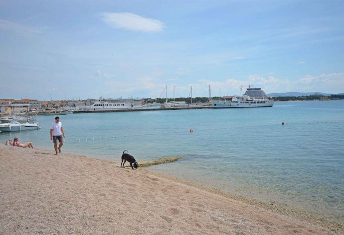 Bild 18