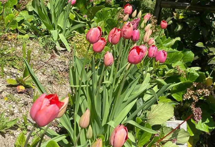 Bild 15